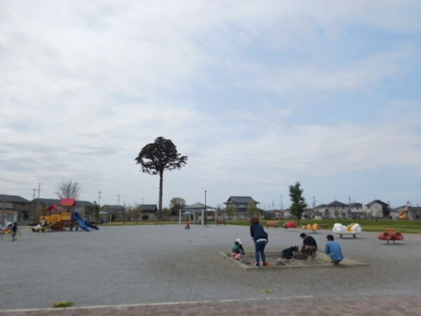 周辺環境(アパート北・大きな一本杉が目印になります（公園内）)