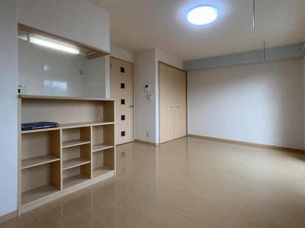 その他(ＬＤＫ)