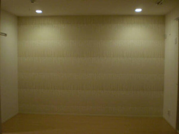 その他(ﾀﾞｳﾝﾗｲﾄ)