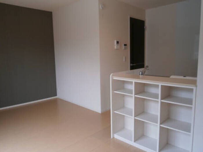 物件内観写真7　(サングレース201 ｶｳﾝﾀｰ裏は便利な収納棚)