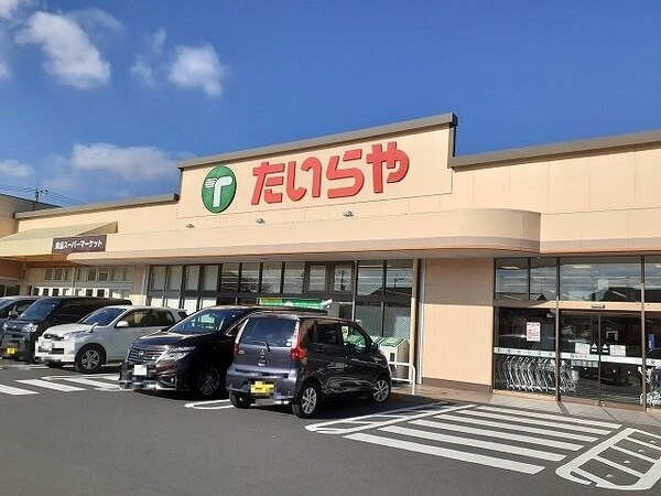 周辺環境(たいらや石井店まで800m)
