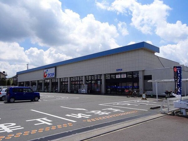 周辺環境(カワチ薬品石井町店まで720m)