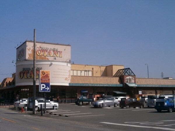 周辺環境(フードオアシスOTANI鶴田店（844ｍ）)