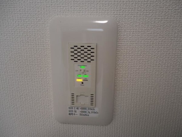 ネット無料