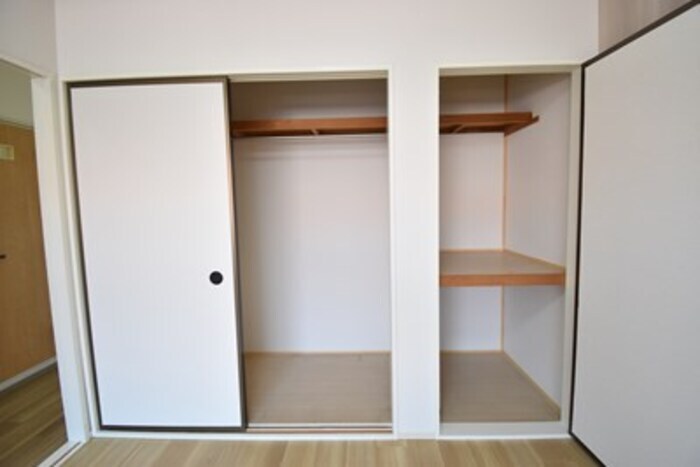 物件内観写真11　(クローゼット＋物入（洋室）)