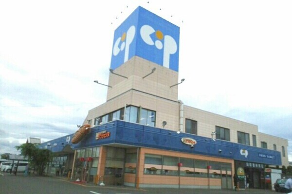 その他(その他)