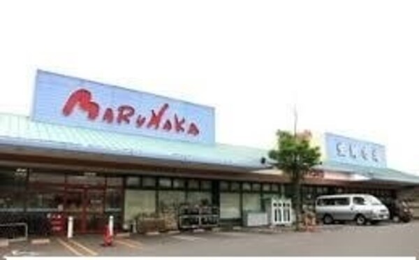 その他(その他)