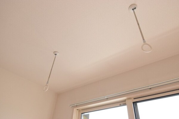 その他(その他)