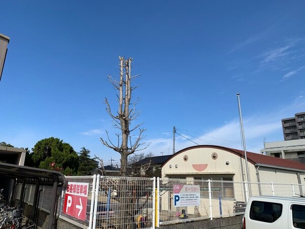 松島保育所 1.1km