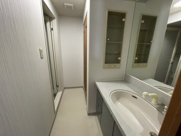 洗面・脱衣所(洗面所：-     （2025年2月撮影）)