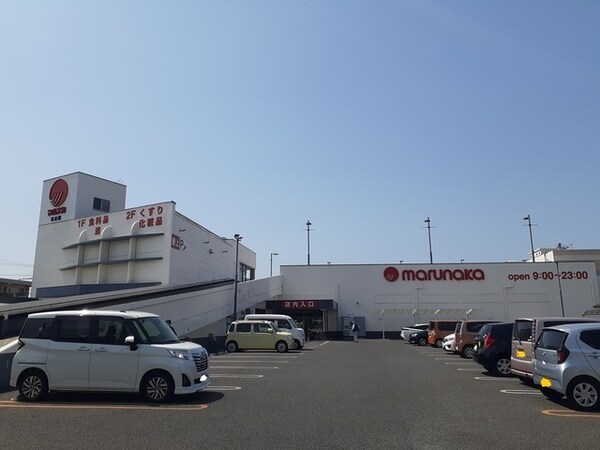 その他(その他)