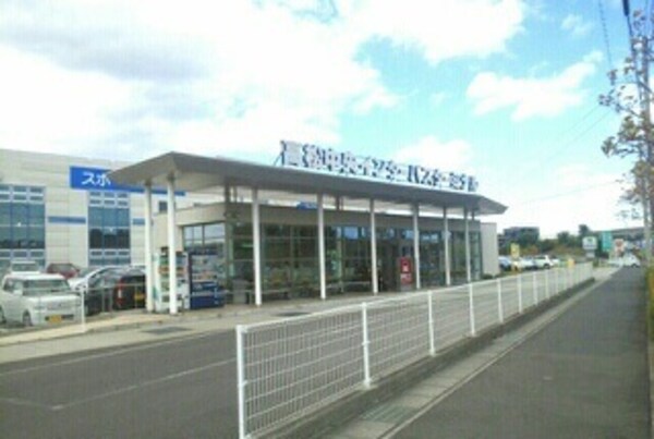 その他(その他)