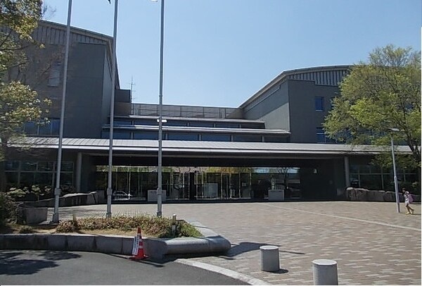 その他(その他)