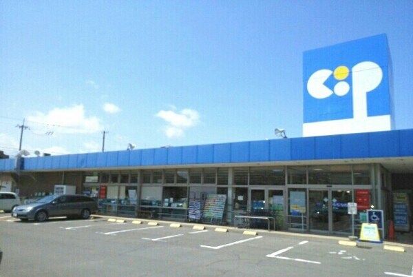 その他(その他)