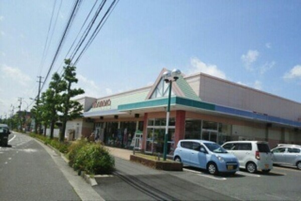 その他(その他)