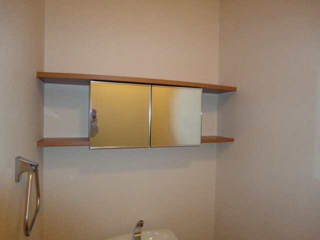 物件内観写真18　(トイレ鏡付収納)