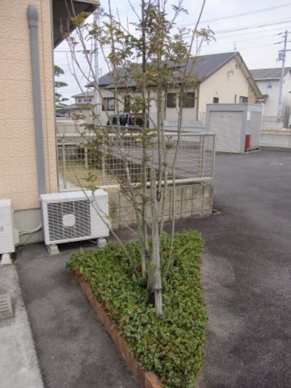 庭
