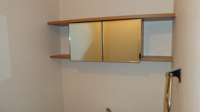 物件内観写真14　(トイレ収納)