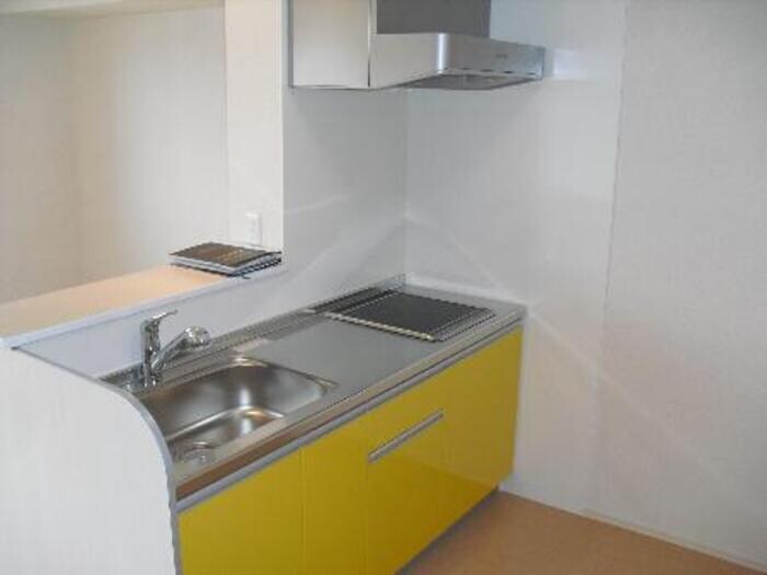 物件内観写真5　(B棟203 キッチン)