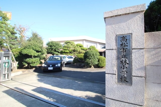 物件内観写真21　(高松市立林小学校 798m)