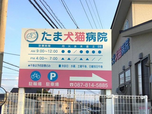 物件内観写真27　(たま犬猫病院 0.9km)
