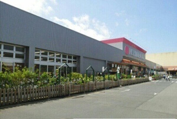 その他(その他)