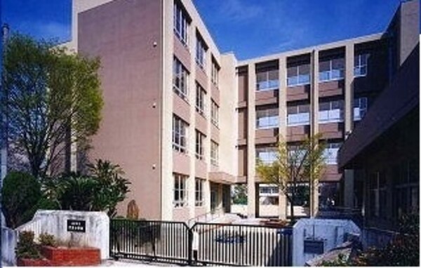 その他(その他)