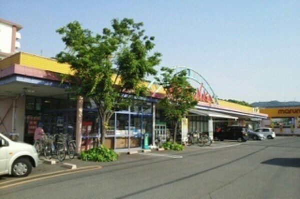 その他(その他)