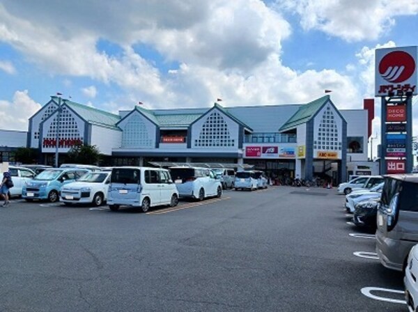 その他(その他)