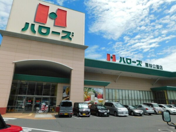 ハローズ栗林公園店(588ｍ)