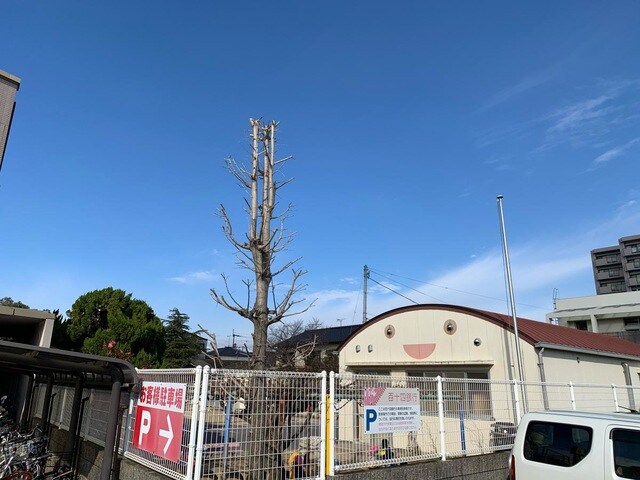 物件内観写真25　(松島保育所 1.1km)