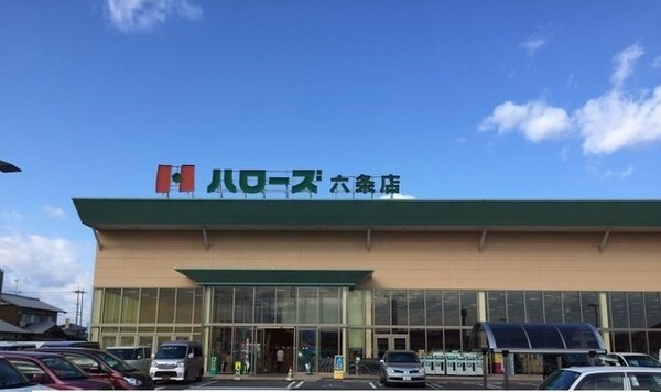 その他(その他)