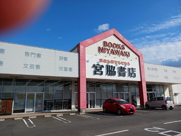 その他(その他)