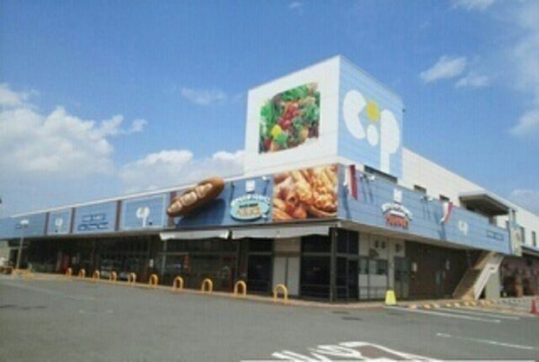 その他(その他)