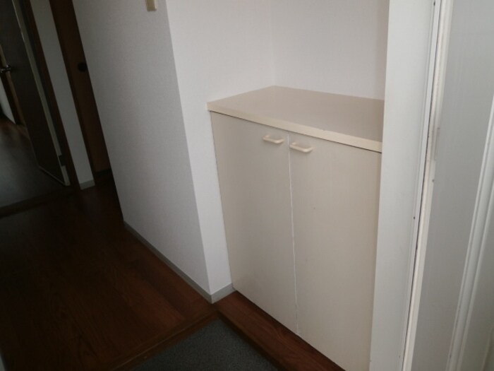 物件内観写真9　(玄関収納（カウンター）)