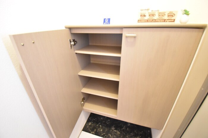 物件内観写真19　(シューズボックス（カウンタータイプ）)