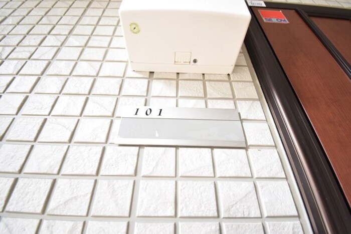 物件内観写真19　(玄関)