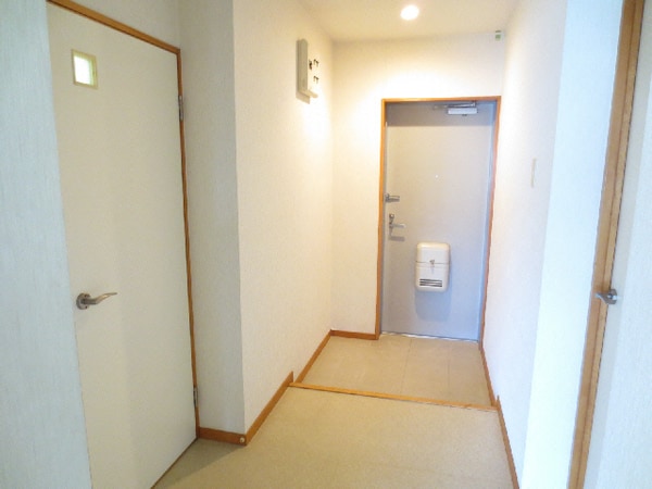 玄関回り(玄関)