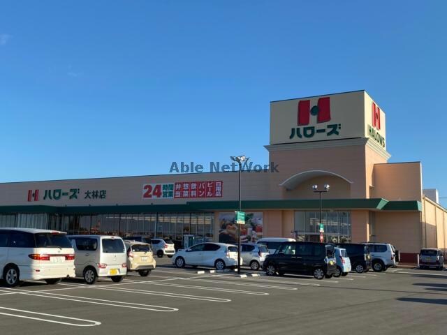 ハローズ大林店