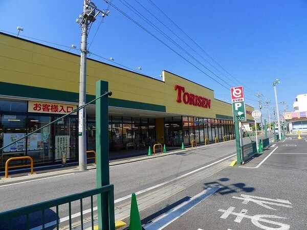 その他(とりせん太田新井店まで1500m)