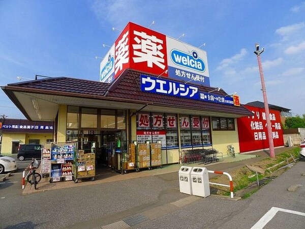 その他(ウエルシア太田韮川店まで1100m)