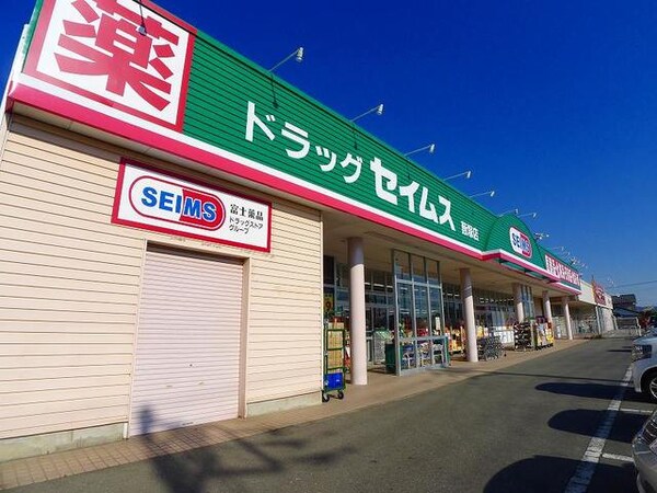 その他(ドラッグセイムス 藪塚店まで1100m)