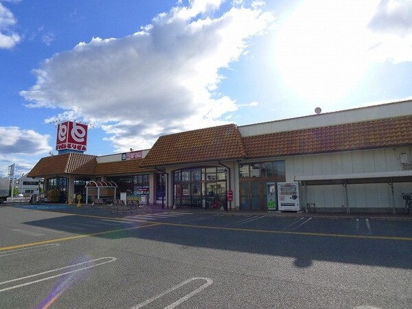その他(とりせん 東矢島店まで2100m)