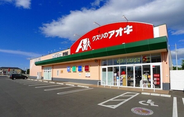 その他(クスリのアオキまで800m)