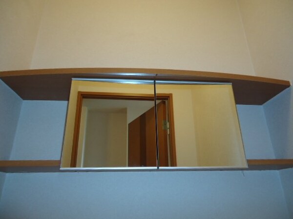 その他(トイレ収納)