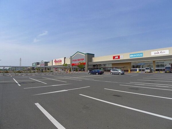 その他(ベイシアおおたモール店まで850m)