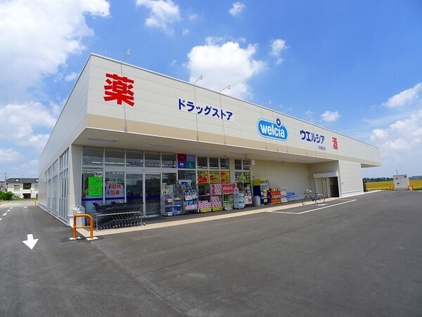 その他(ウエルシア太田富沢店まで1800m)