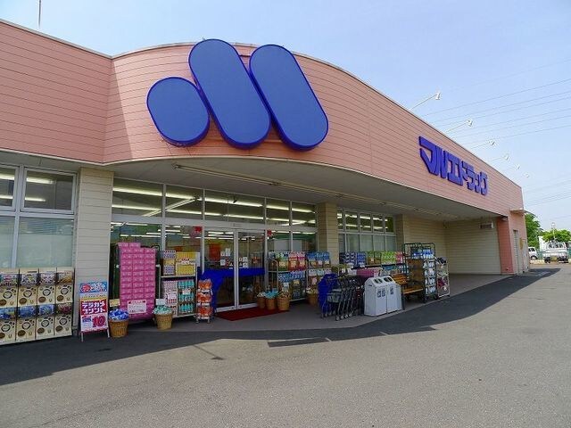 物件内観写真17　(マルエドラッグ内ヶ島店まで1100m)