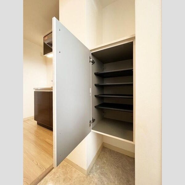 物件内観写真11　(シューズボックス)