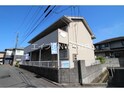 アンジェリーク福島